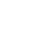 Second Nature logo top